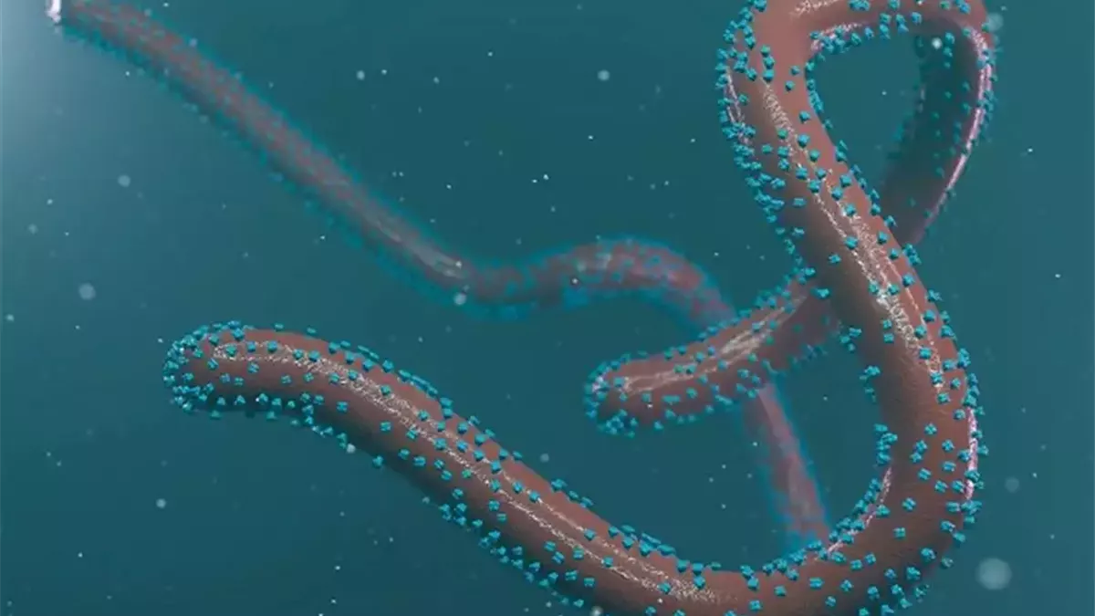 فيروس ماربورغ