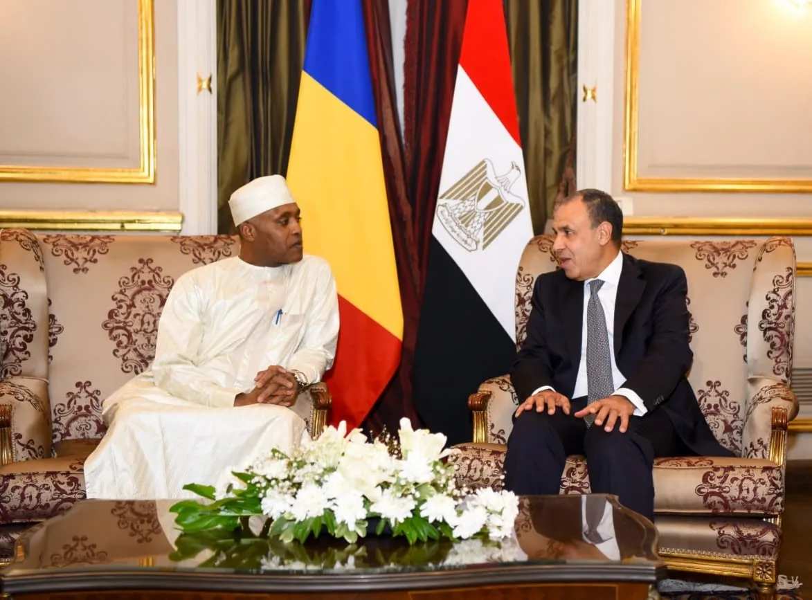 وزير الخارجية المصري وزير الخارجية التشادي