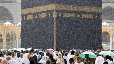 1681126436755329900.jpg 093452 large