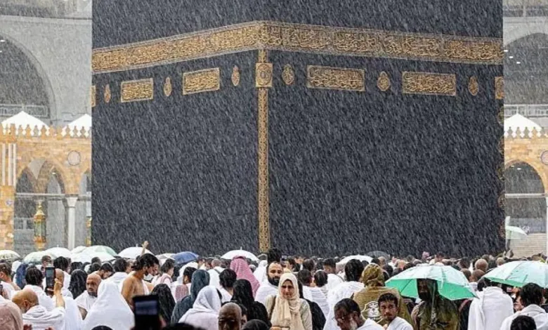 1681126436755329900.jpg 093452 large