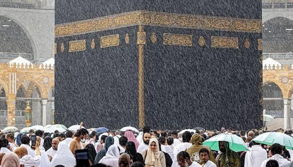 1681126436755329900.jpg 093452 large