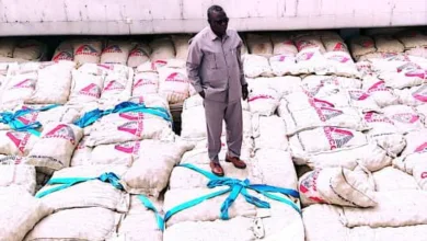 584182976 877495951298778 4791802199951076168 n