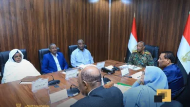 587416118 1379728320260542 5278142810172109987 n