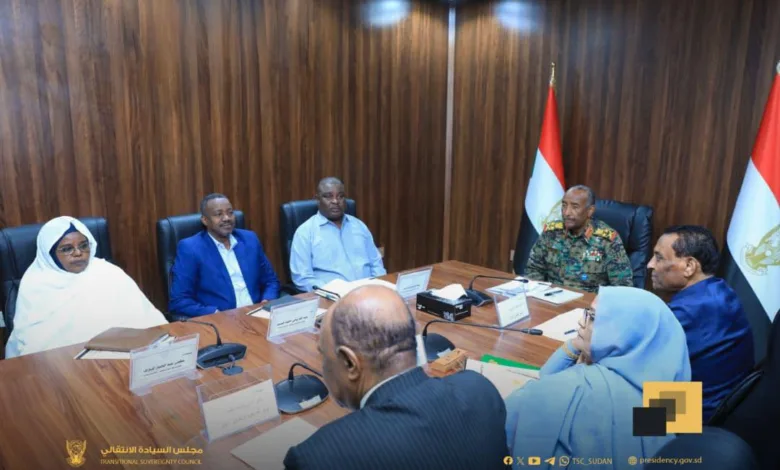 587416118 1379728320260542 5278142810172109987 n