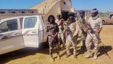 5e75d28e 28a0 483b b8b3 f2d781a30119