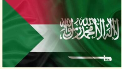 IMG 20251113 WA0007 - خطوات سهلة لإكمال تأشيرة العمل السعودية من السودان