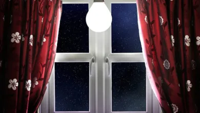 sabq 2025 11 16 wxm0l4in 1