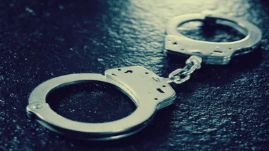 sabq import uploads material file 5a422975c3794b70ab23f70b 5a422972d515d