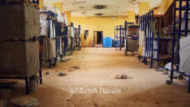 unnamed file 25 750x430 1