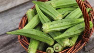 البامية المجففة