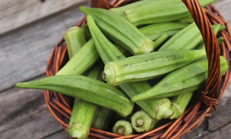 البامية المجففة