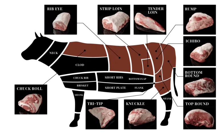 شرح لأسماء قطع لحم البقر واستخدام كل منها في الطبخ البقر