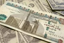 الجنيه المصري