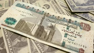 سعر الدولار