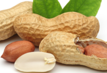 الفول السوداني