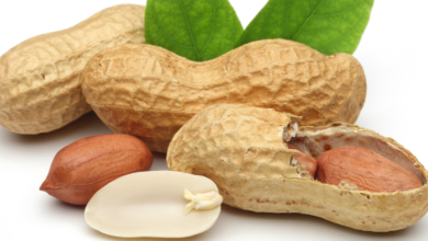 الفول السوداني