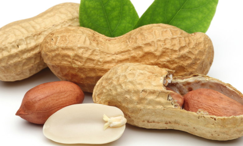 الفول السوداني