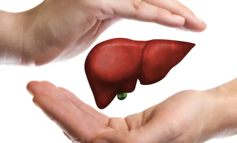 كيف تعرف أن الكبد مرهق ويحتاج دعمًا؟ 9 علامات لا يجب تجاهلها الكبد