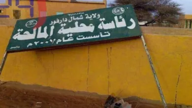 المالحة محلية 610x4271 1