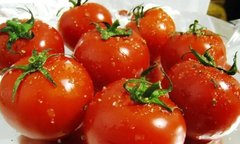 الطماطم المصرية ضمن أكبر 5 منتجين حول العالم طماطم