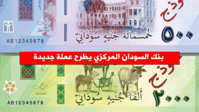 عملة سودانية جديدة - بنك السودان المركزي يطرح عملة جديدة