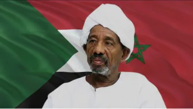 محمد علي الامام 1
