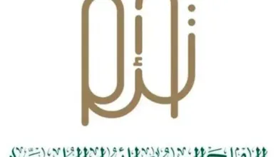 مسنيبتسمبتس 530x492.jpg