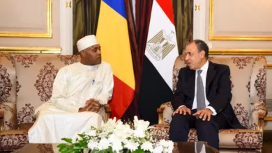 وزير الخارجية المصري وزير الخارجية التشادي