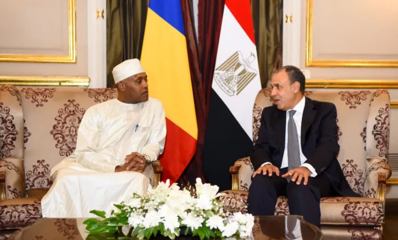 وزير الخارجية المصري وزير الخارجية التشادي