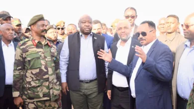 وزير المعادن