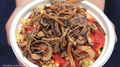 هل يدخل الكشري قائمة اليونسكو للتراث غير المادي في 2025؟ 1 1423166