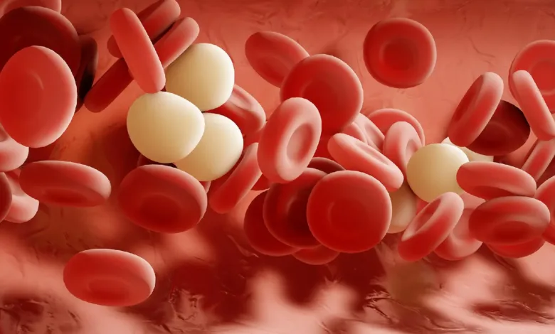 لماذا يصبح الدم أكثر لزوجة في الشتاء؟ الدم