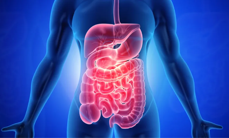 أطعمة تنظف الأمعاء بطريقة طبيعية الأمعاء