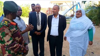 ولاية الجزيرة على الخط .. ملتقى سوداني تركي لرجال الأعمال وزيرة الصناعة 2