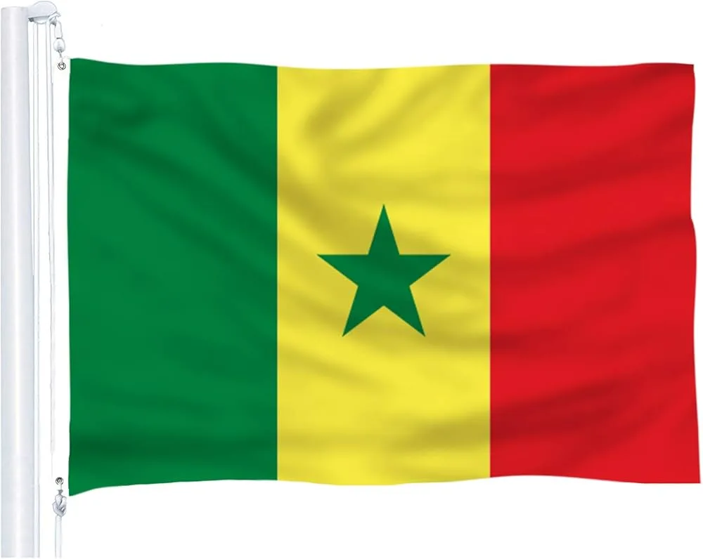 السنغال... اللغة العربية أصبحت لغة البلاد الرسمية السنغال