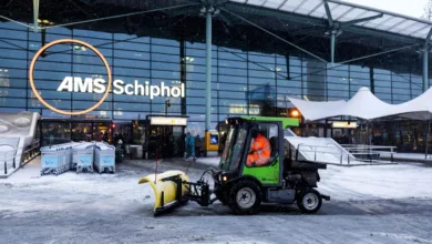 619f5414 5b93 4fbf 9cd9 5a3381426a25