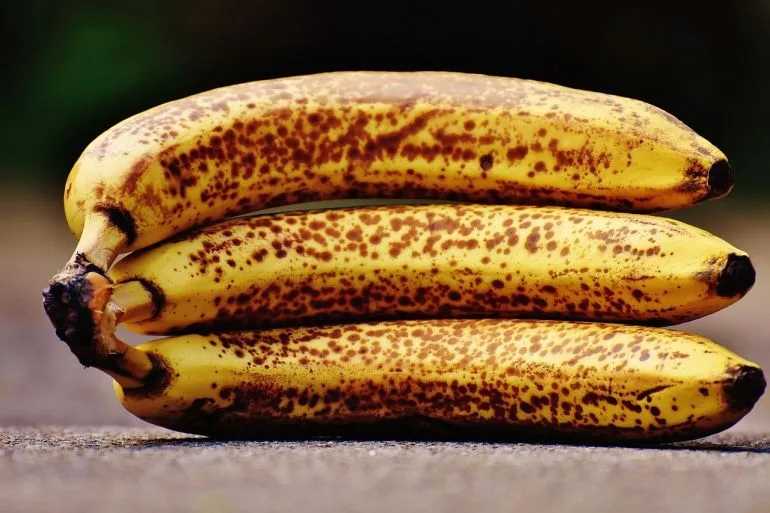 bananas 1735007 1280 1766452907