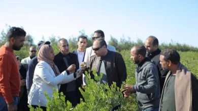 be5ddc03 146b 4e70 b51e 1c522b2efc8a