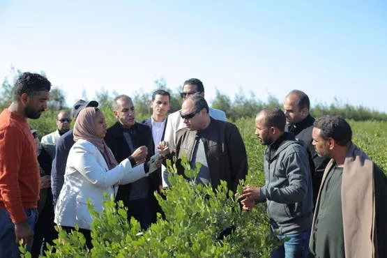 be5ddc03 146b 4e70 b51e 1c522b2efc8a