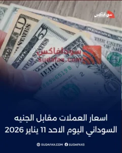 photostudio 1768139480113