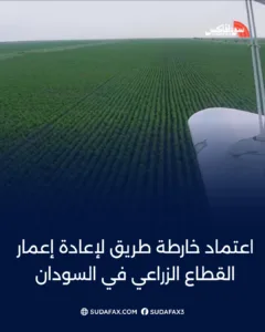 photostudio 1768154542878