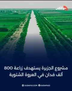 photostudio 1768329008274