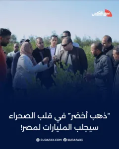 photostudio 1768642785123