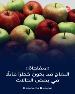 photostudio 1768649848516