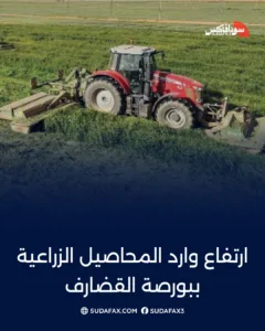 photostudio 1769097982014