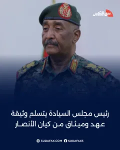 photostudio 1769109697822