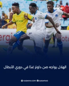 photostudio 1769110346988