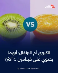 photostudio 1769111158800