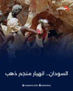 photostudio 1769234854807