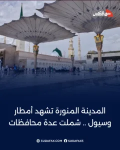 photostudio 1769236214795